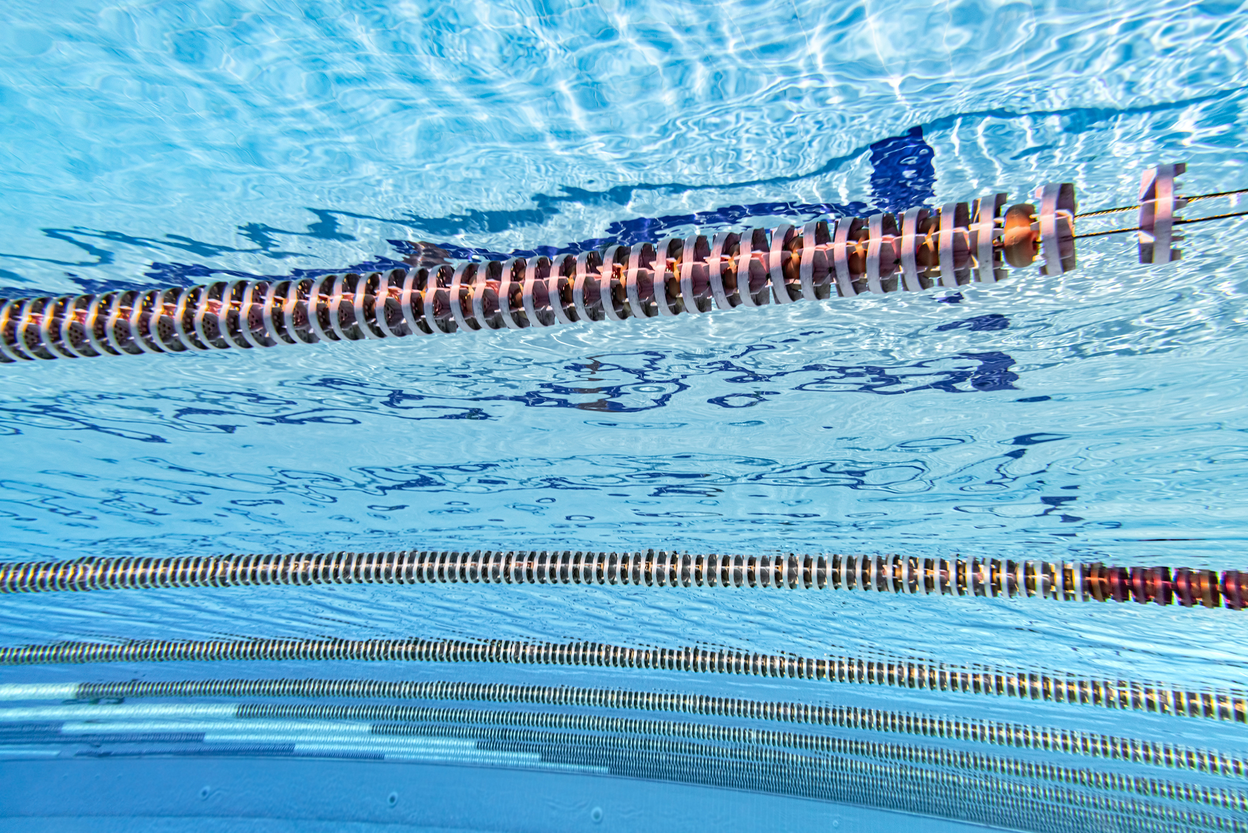 costruzione piscine olimpioniche