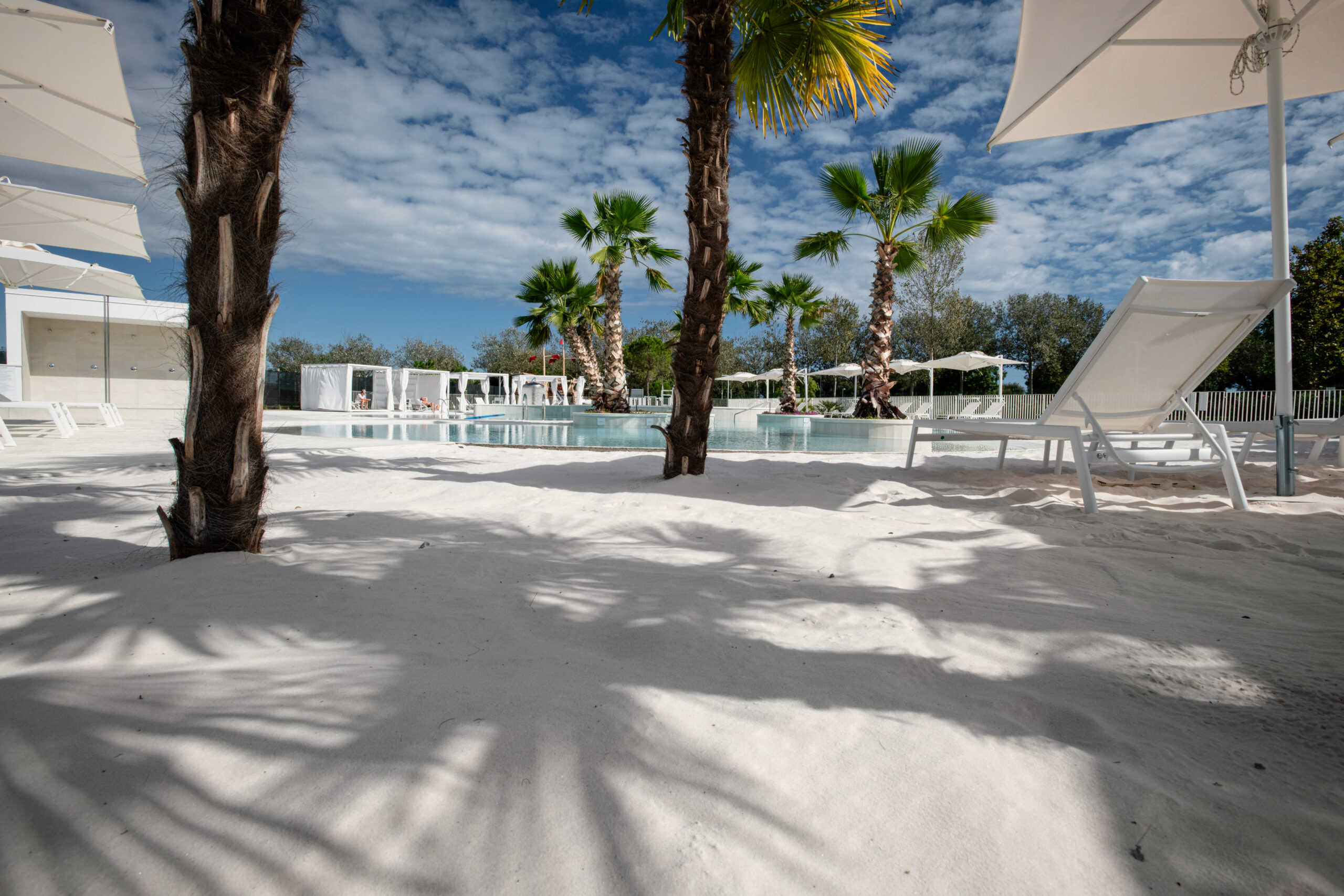 Pareus altanea Caorle Spiaggetta