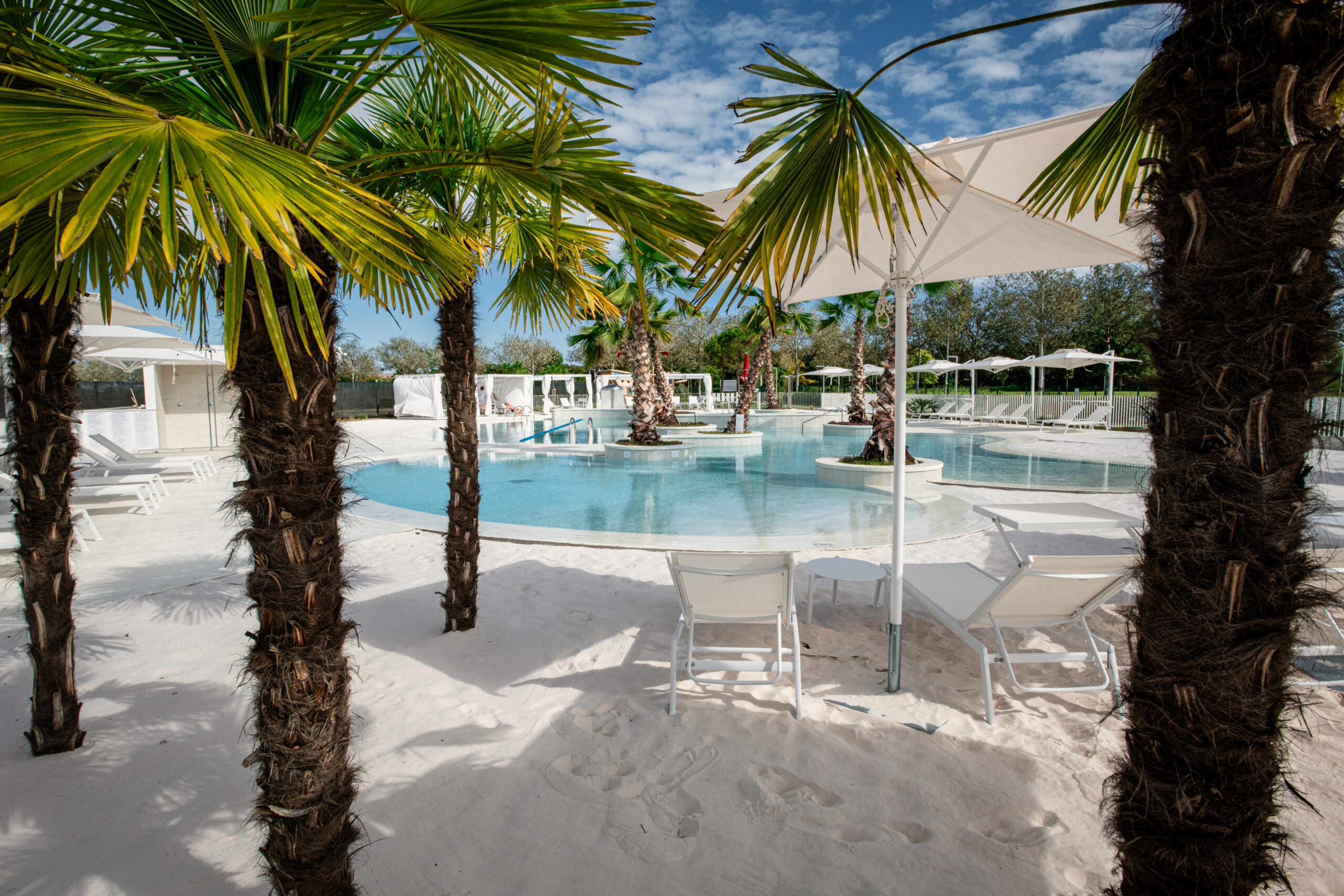 Pareus altanea Caorle Spiaggetta e palme